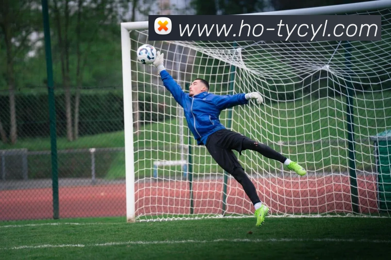 澳门太阳城全站App 澳门太阳城全站App